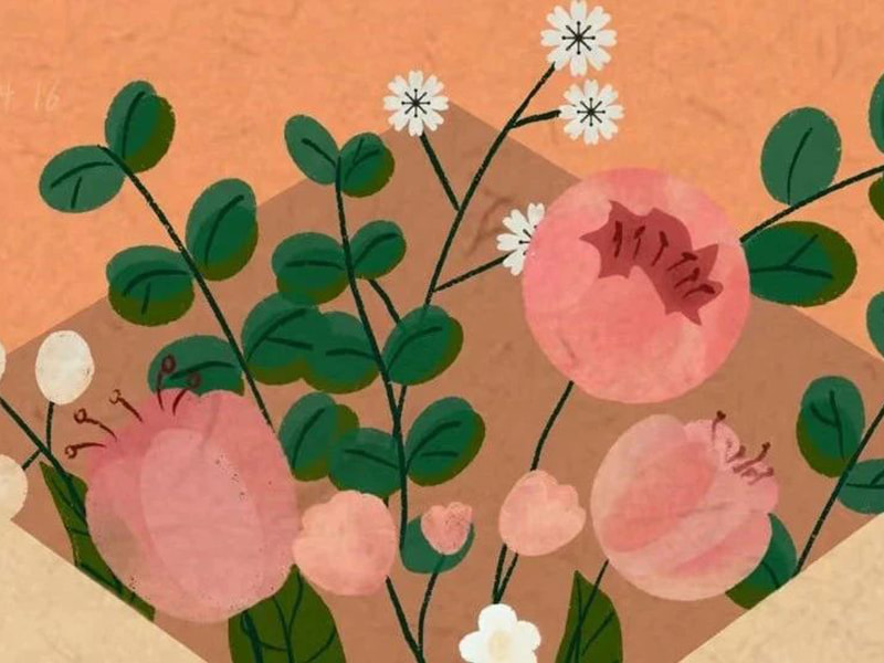 Isang liham sa pamilya ni Jufeng