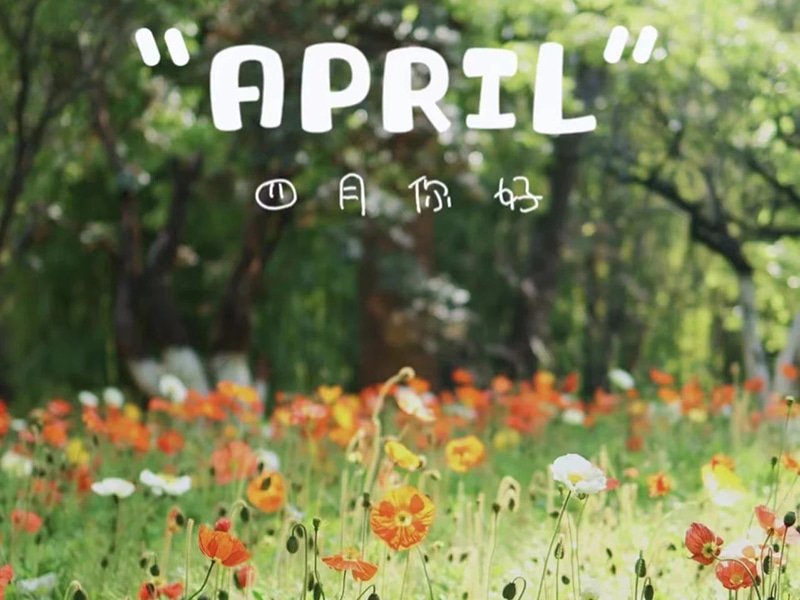 Birthday wishes丨Maligayang kaarawan sa mga ipinanganak noong Abril